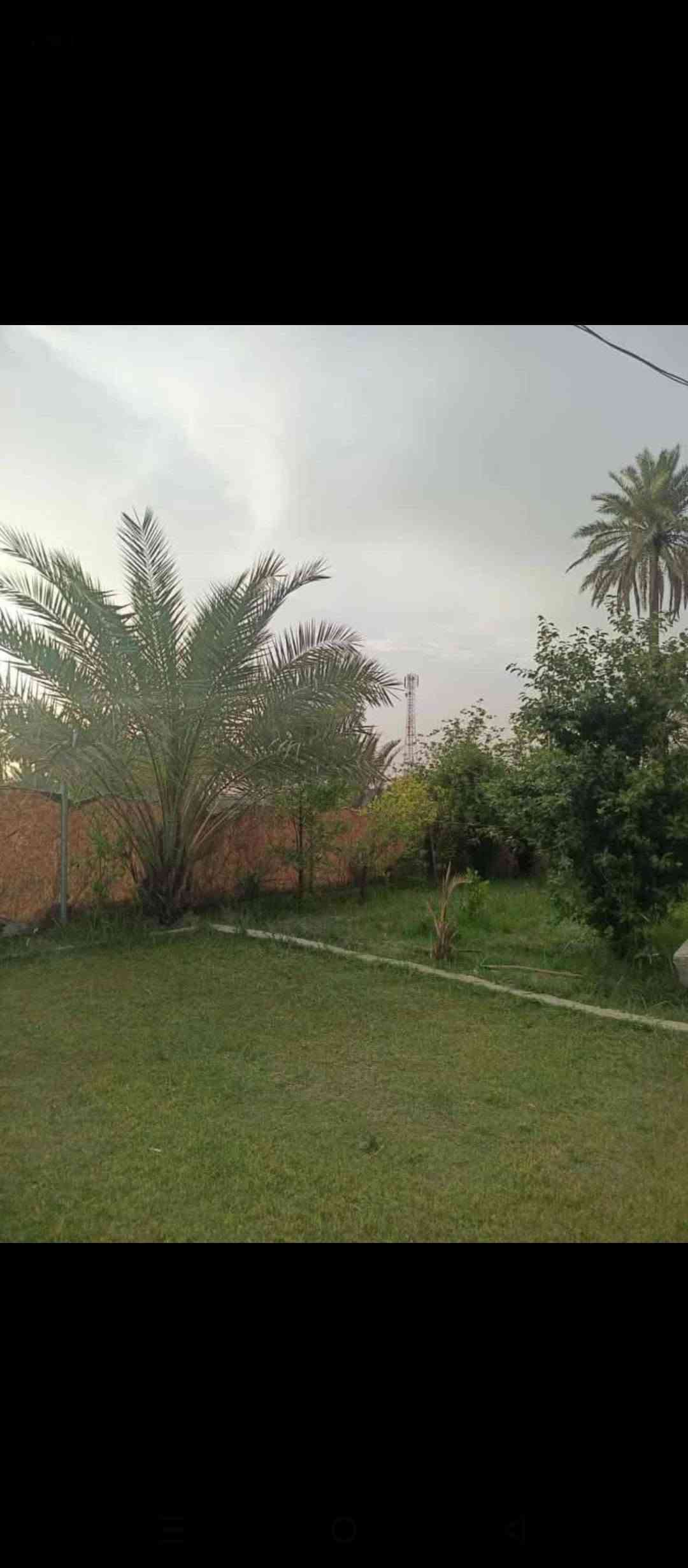 دونم ٢٥٠٠م • طابو زراعي • بيت ٧٥٠م