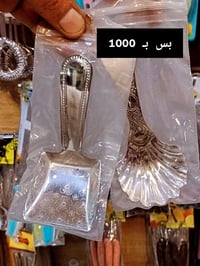 مجمع الزبيدي • ورد جوري • ديالى كنعان