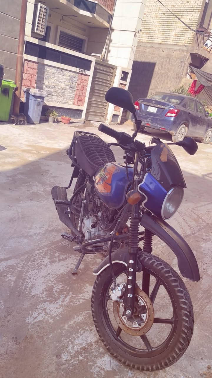 بوكسر • ٢٠٢٣ • بدون اوراق