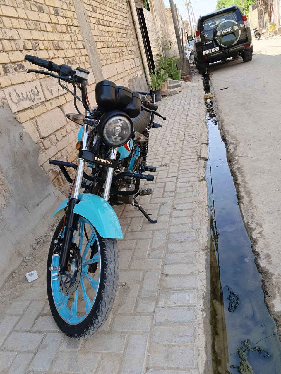 شاينك • ٢٠٢٣ • طالعة ٢٠٢٥