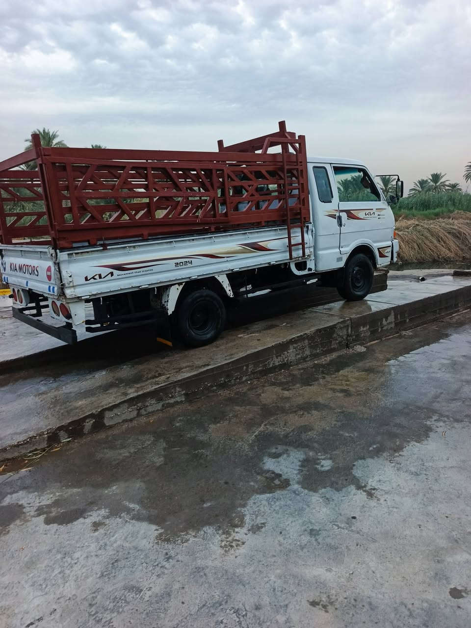 بونجو ٩٥ • كربلاء طويريج • جاهزة للعمل