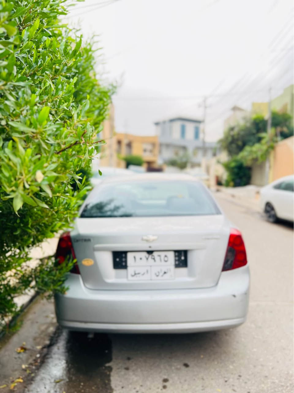 اوپترا • ٢٠٠٧ • اربيل