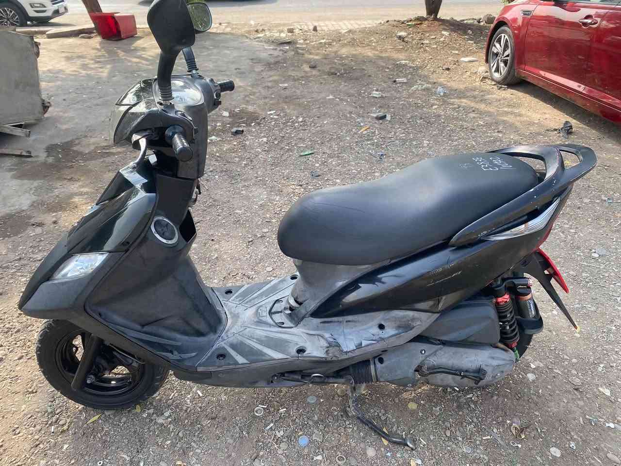 جيتي ار • ثعلب • مكفولة