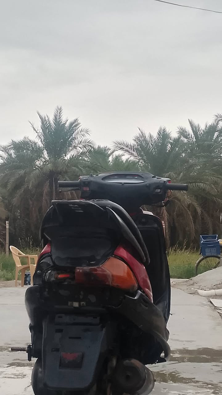 فراشة • نضيفة • تاير امامي