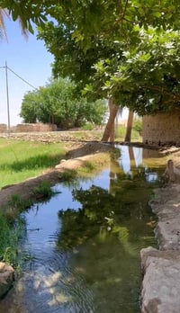 ١٠ دونم • طابو زراعي • التاجي سبع البور