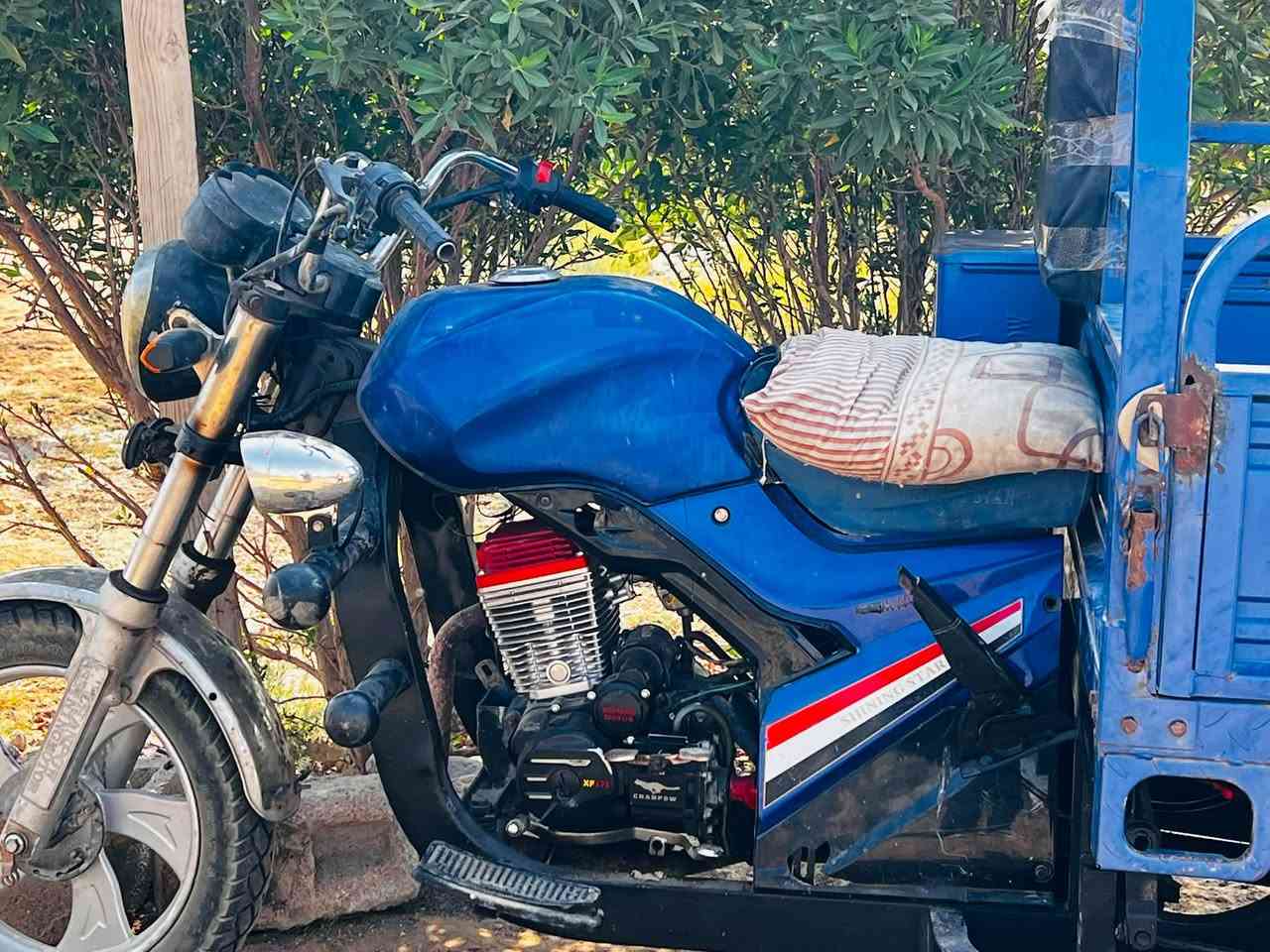 ستوتة جمره فحل للبيع موديل 2023 المكان حي العسكري
***********
