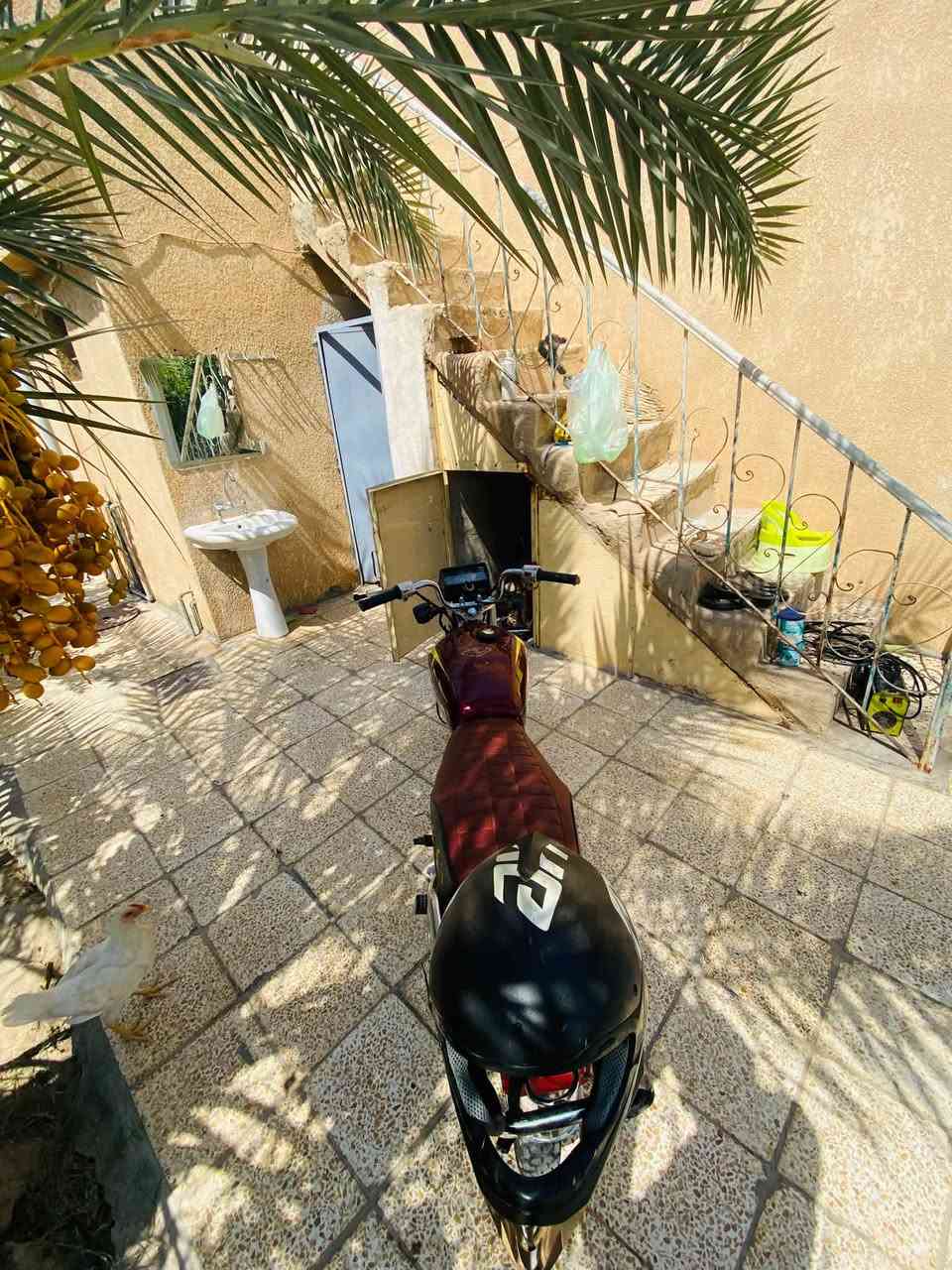 سلام عليكم
تايكر 2021
محرك مفتوح مبدل بستم 
عايزه لاستيك ولف
نضافه كدام عينك
كهربائيات شغاله 
عايزه اشاير وره 
سعر٣٢٥ 
ويرهم مراوس تايكر او سيفان
واتساب***********
