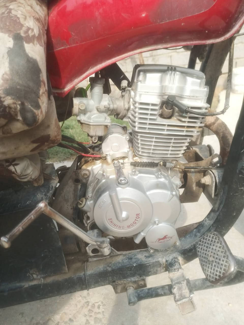 ستوته • ٢٠١٤ • بابل