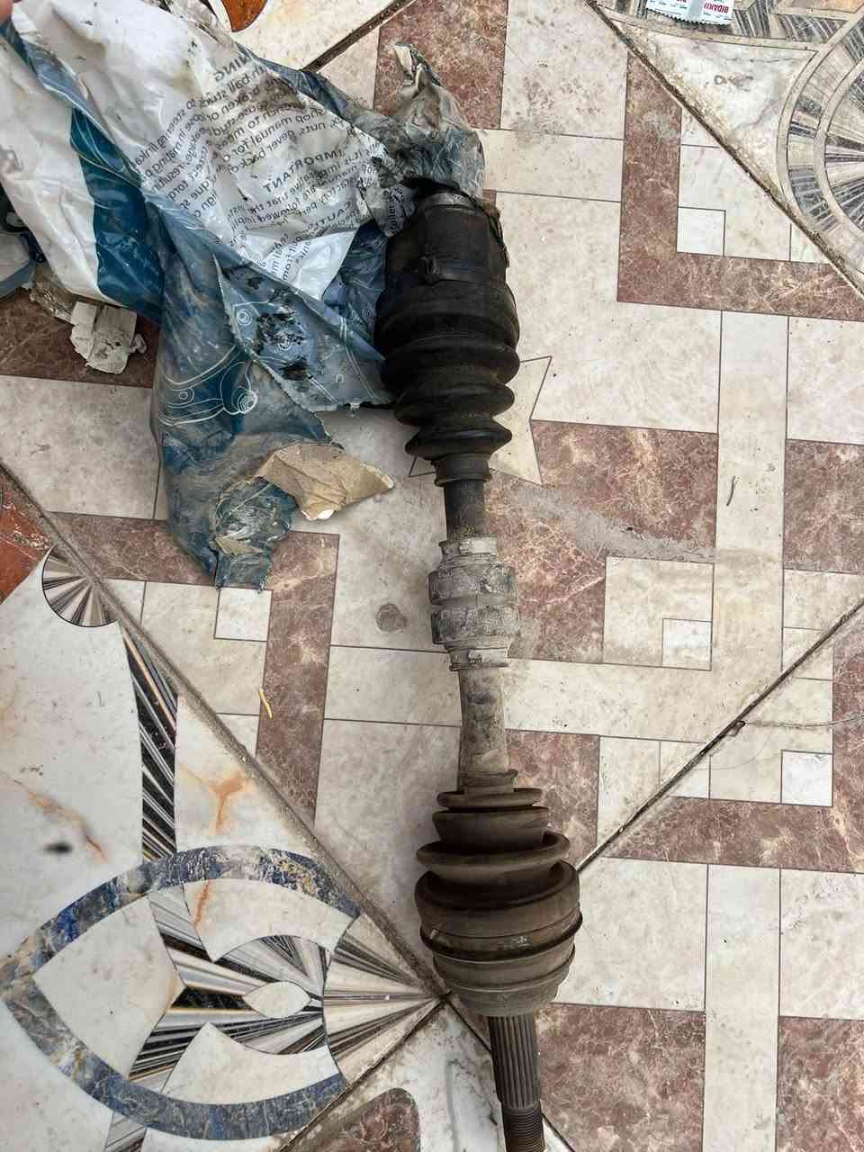 نيسان سني • دبلات • كوري