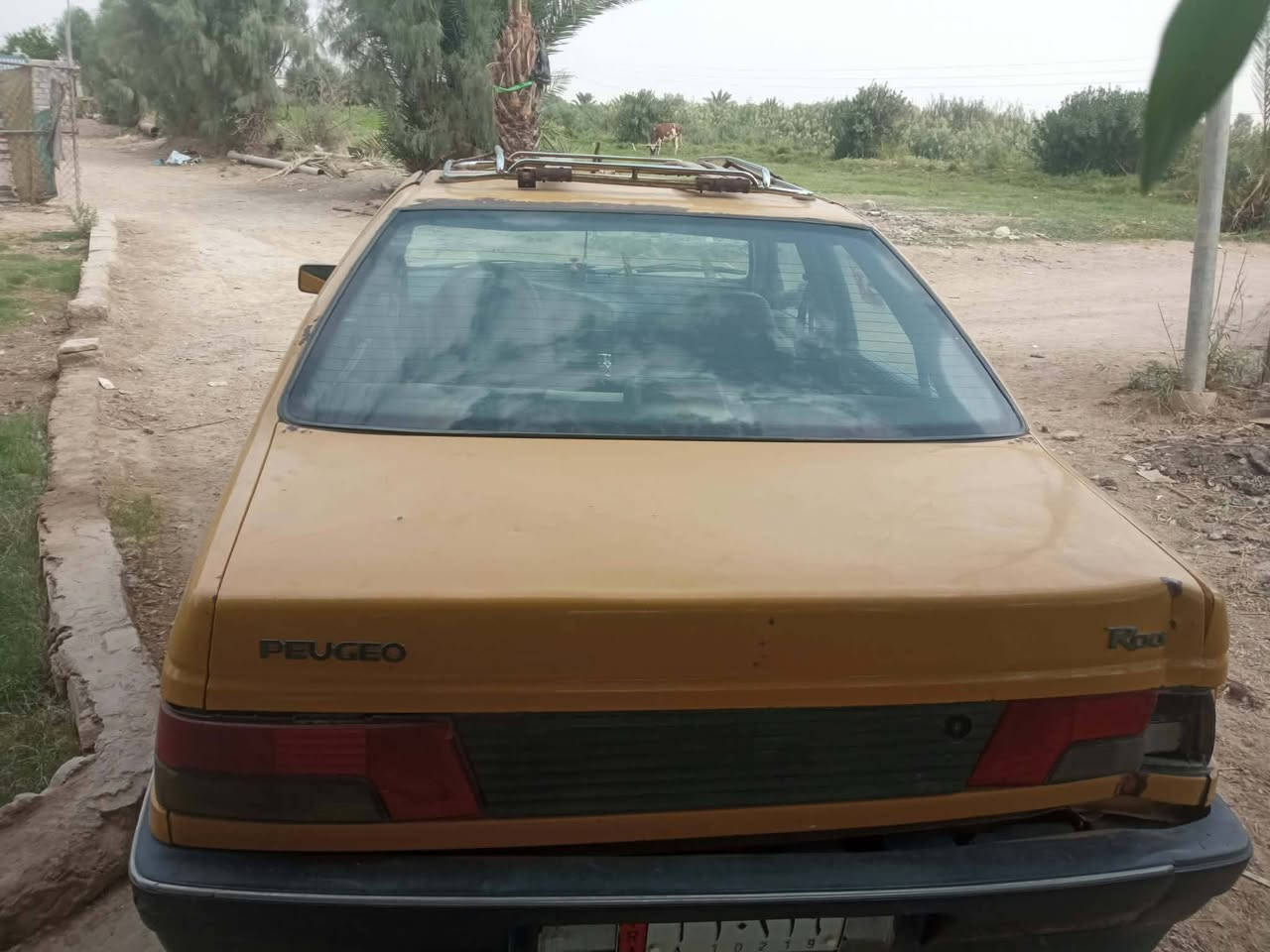 بيجو • مكاني بدرية