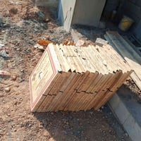 عاملين • اجرة يومية • ٨٠م