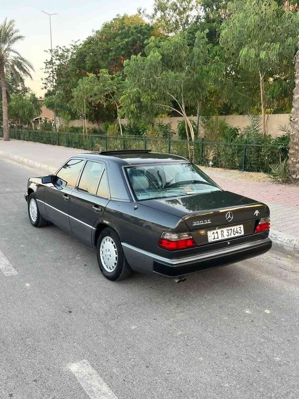 دب • ٩١ • مرسيدس