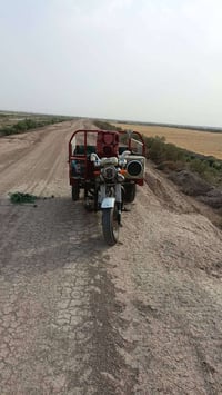 ستوته • ٢٠١٥ • اوراق وكيل