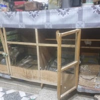 قفص • عرض ١م٦٠ • ارتفاع ٩٠س