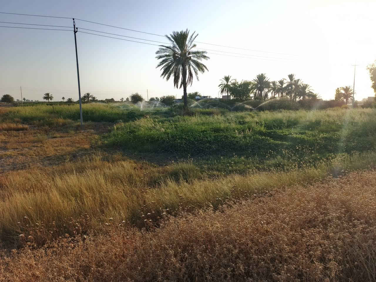 الموئدي طريق سامراء • تجاري • نص دونم