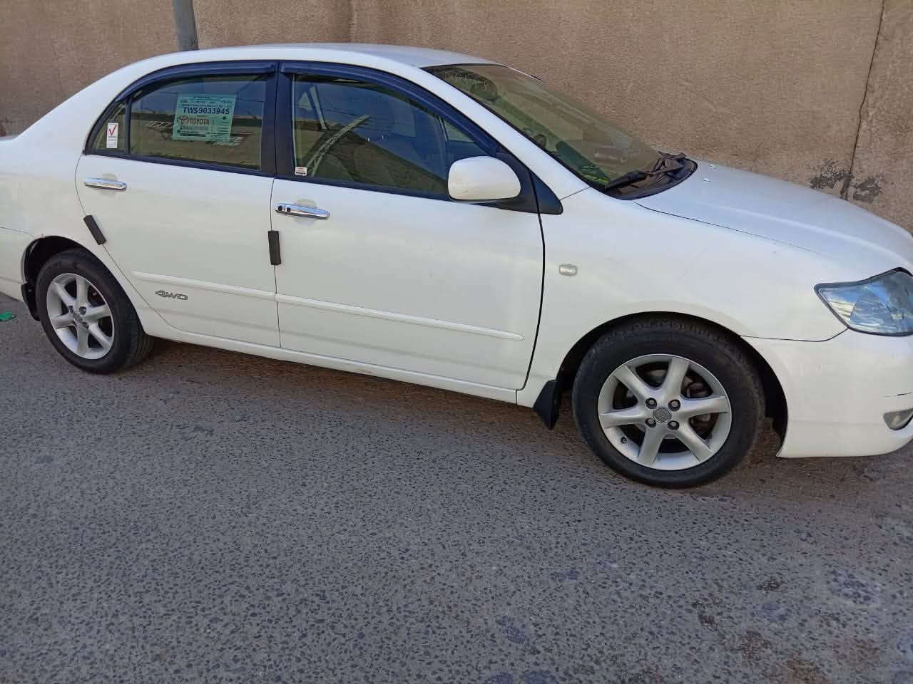 كورلا بيكاتشو • ٢٠٠٧ • قضاء القرنه