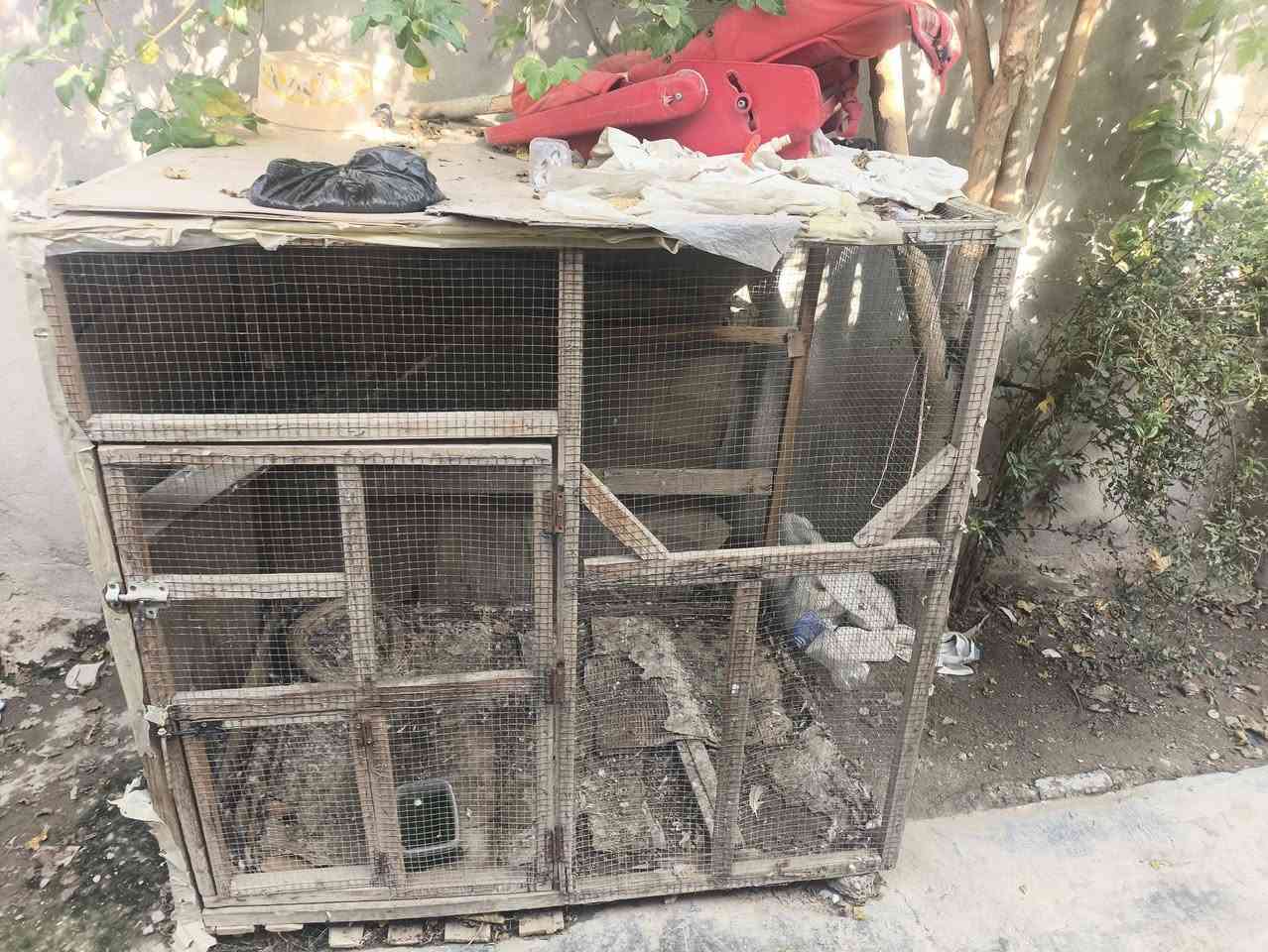 قفص • ١٢٠×١٢٠