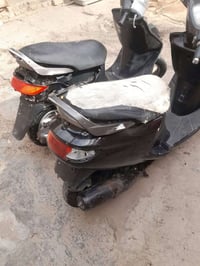 فراشة • نسيا • فحل