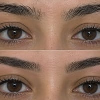 صالون ڤيولا • ترتيب الحاجب • السماوه