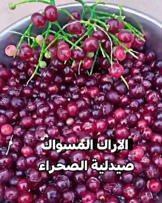 نخيل واشنطونيا • بذور مجد الصباح • ورد الكوزموبس