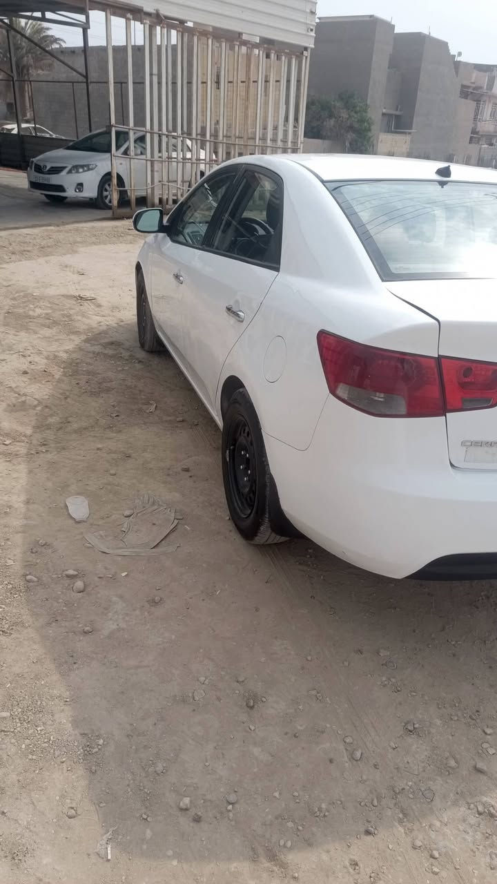 سيراتو • ٢٠١١ • رقم سليمانية