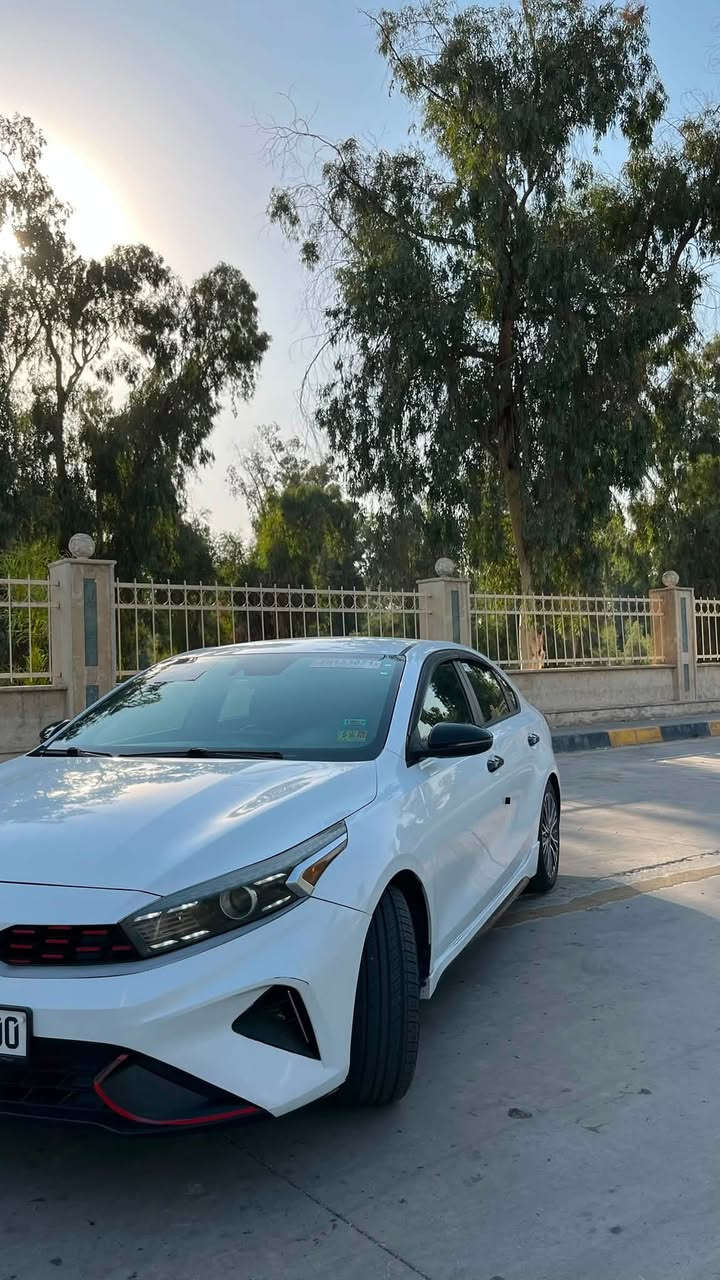 السلام عليكم
فورتي موديل 2022 فئة الجيتي لاين Gt line تجي فول مواصفات عدا الفتحة ومعروفة مواصفات الجيتي لاين سيارة هزة جديدة وفحص جديد وسونار جديد ضررها بوند وجاملغ خلفي ضررها كلش خفيف موضح بلصور لا ايرباك ولادواخل بشرط سيارة نضيفة ومال بيت ماينقصها برغي سيارة مرقمة اربيل بأسمي شرط التحويل ماشية 60mi وسعرها مناسب 147ورقة وبيها مجال بسيط للشراي مكاني موصل بلمجموعة الثقافية
رقم الواتساب 
***********
رقم الاتصال
***********
