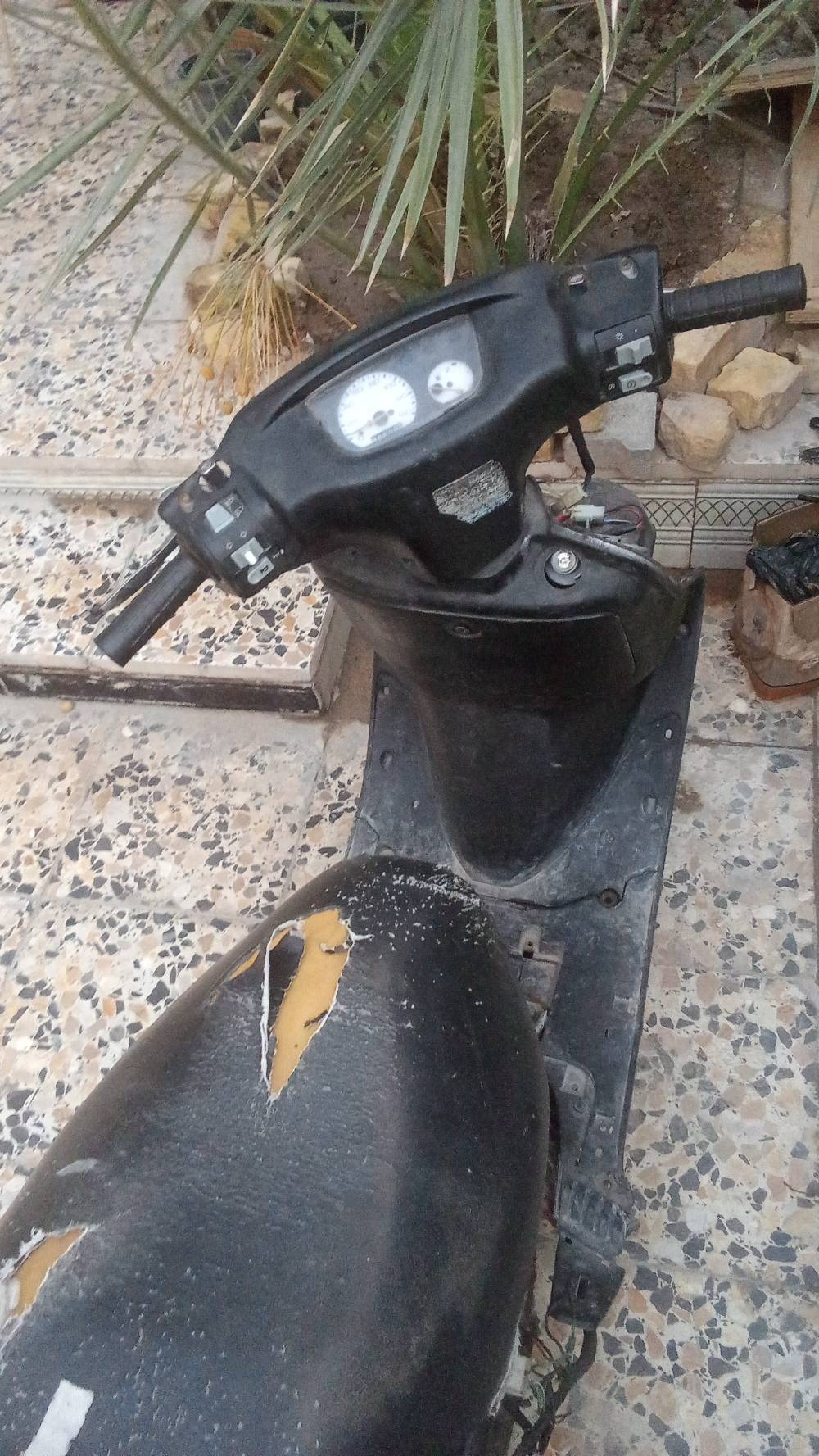 فراشه نثيه • رايدها ٢٥٠ • محرك حلو
