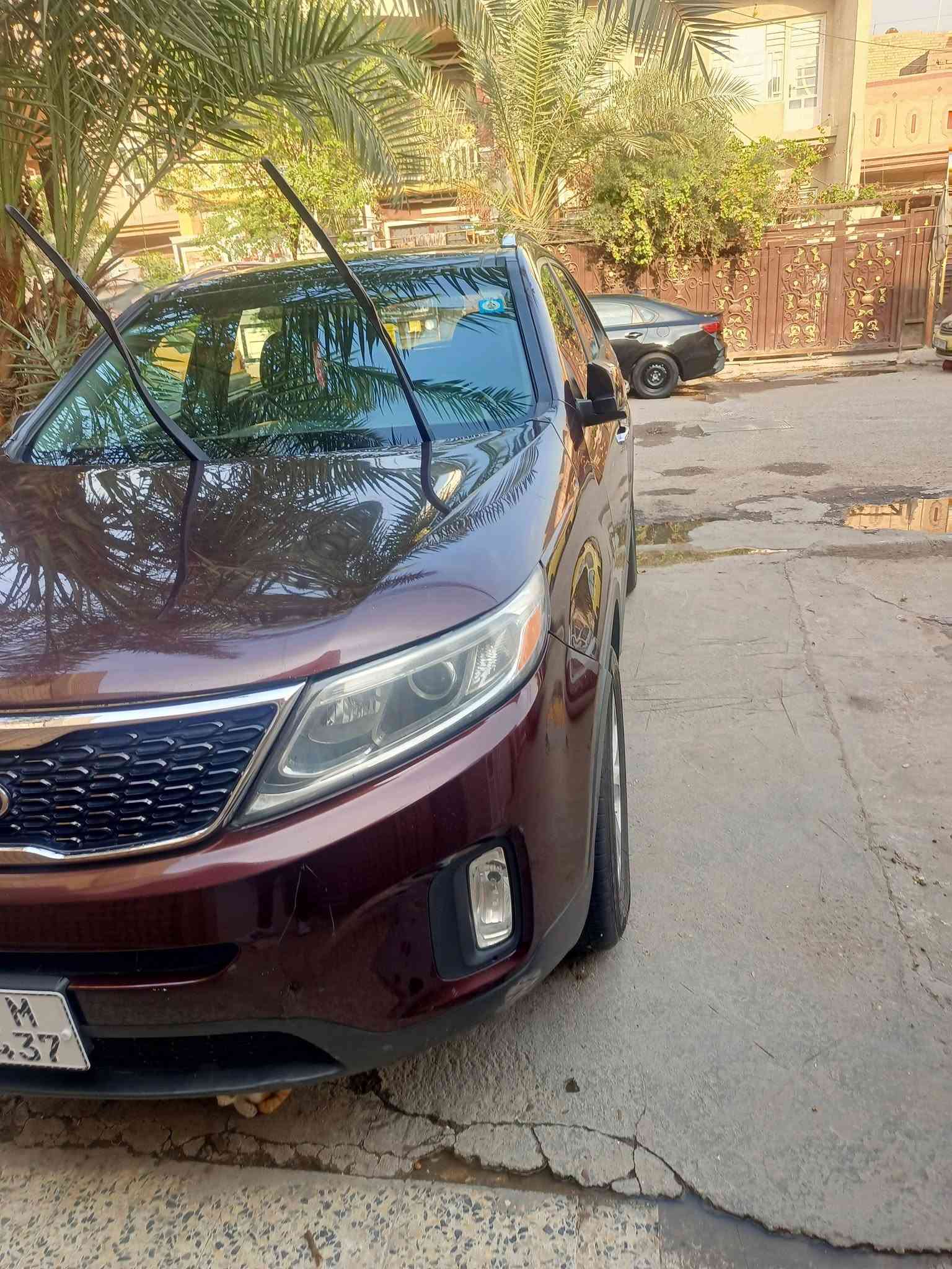 سورنتو • ٢٠١٤ • رقم بغداد