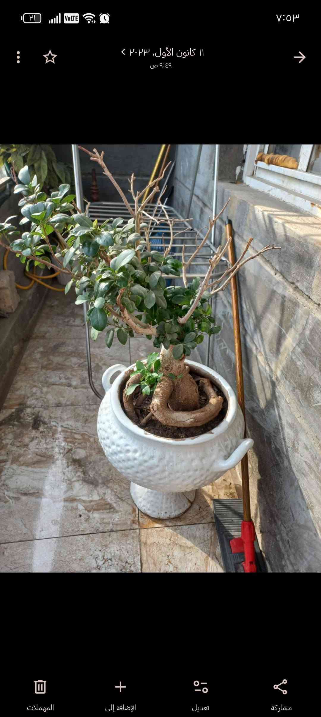 للبيع الكونفيره بس بيه صوت ***********

نص مكتوب في الصور:
- ١١ كانون الأول، ٢٠٢٣
- ٩:٤٩ ص
- المهملات
- الإضافة إلى
- تعديل
- مشاركة