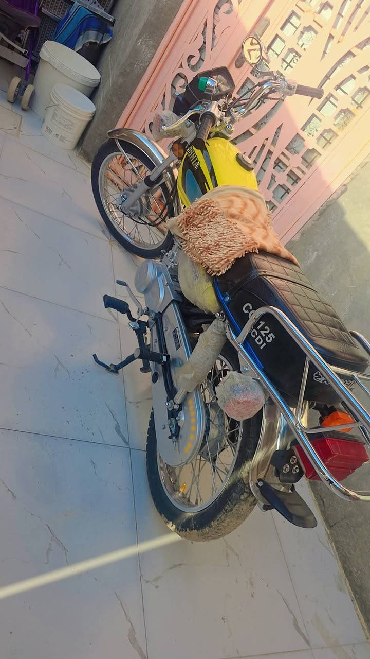 سكنر • ٢٠٢٦ • اوراق