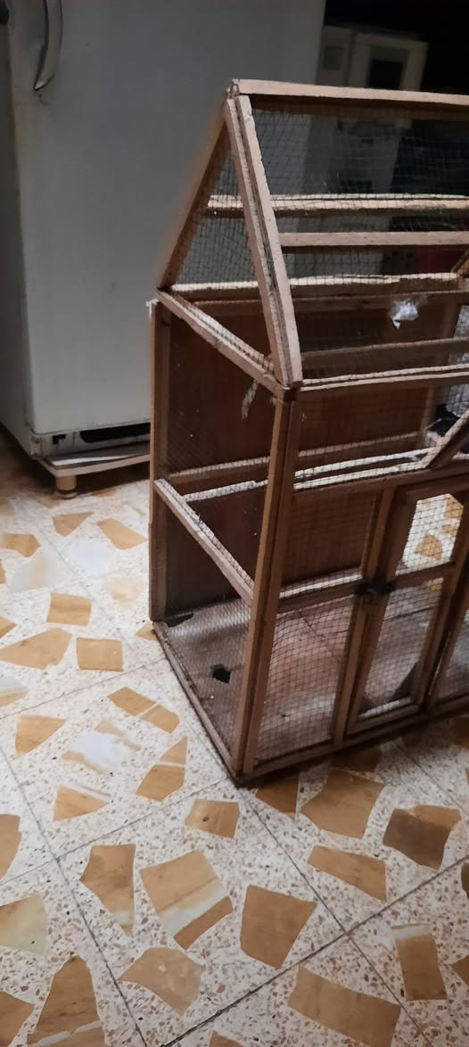 البيع قفص كبير السعر مناسب 《50》 عنوان ميسان عماره اتصل واتساب موجود بالخدمة 《***********》 عمارة, ميسان
