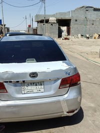 ٢٠١٣ • فتيس عادي • البصرة