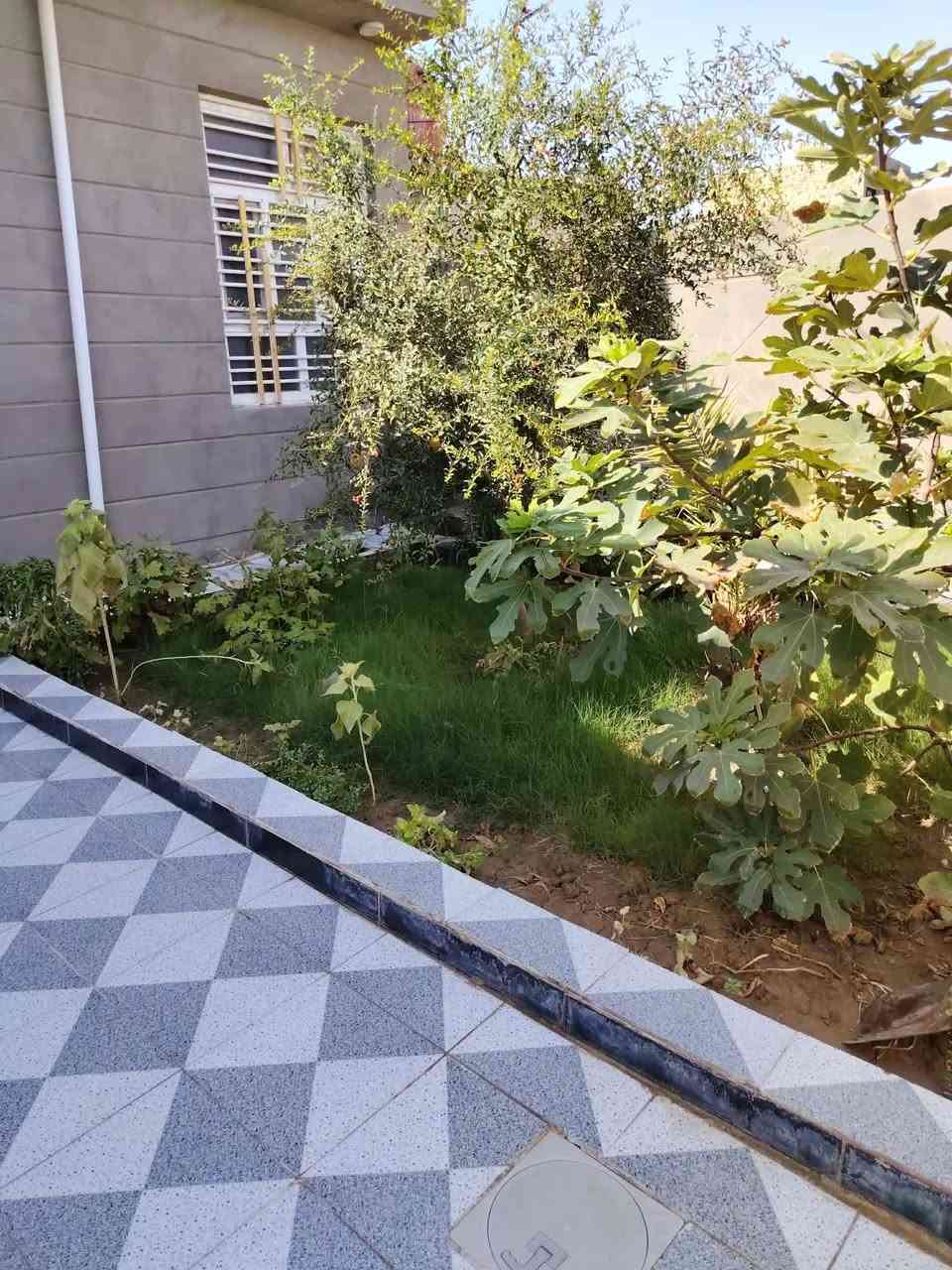 بيت للبيع – الحمزة الشرقي

📍 حي الإمام الصادق – بنزلة المحامي صباح قرب آل سيد إبراهيم

📐 المساحة: 250م
🏠 بناء حديث كونكريت مسلح – طابق واحد

البيت يحتوي:
• غرفتي نوم
• استقبال وصالة واسعة
• مطبخ بارد وحار
• صحيات داخلية وخارجية
• حديقة 🏝️
• گراج سيارة 🚗
• منظومة كاميرات
• بيبان خشب تسگام وبيبان حديد تسگام
• شبابيك حديد تسگام
• بيبسي وجبس بورد للسقوف

المنطقة بيها كافة الخدمات: ماء، مجاري، تبليط، إنترنت ضوئي وأرصفة.

🏦 مطلوب إسكان 30 مليون يتحول على المشتري ويا الكفيل
💵 تسديد الإسكان 215 ألف بالشهر

البيت للبيع أو مراوس بالديوانية.

📞 للاستفسار: ***********
