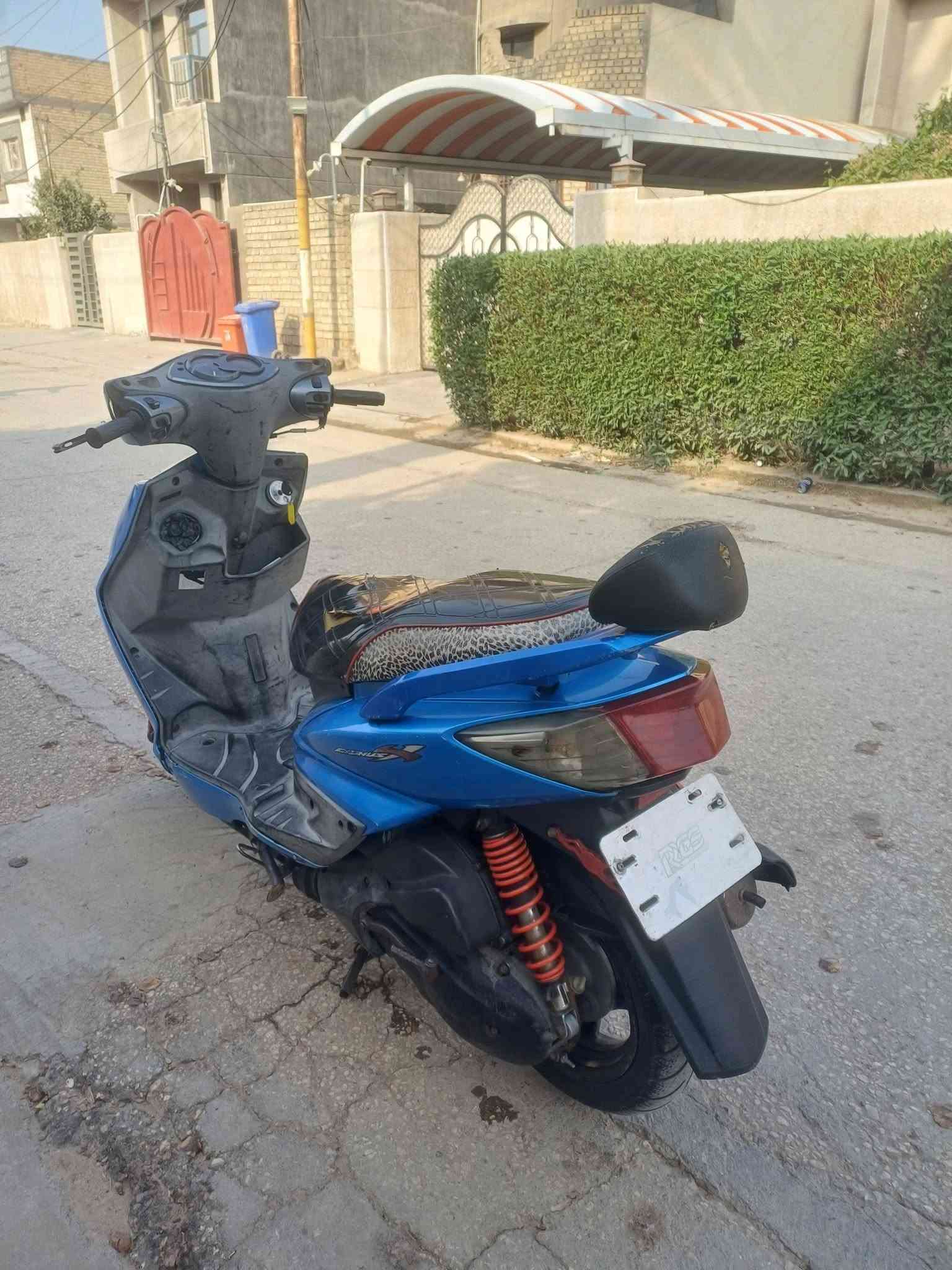 سكنس فحل • كابريتر • بلاديه