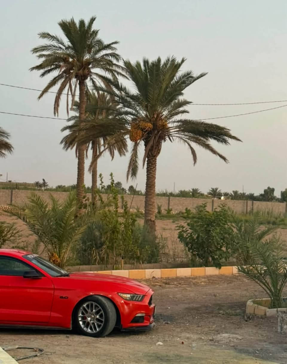 موستنك V6 • ٢٠١٥ • ١٠٦٠٠٠ كم