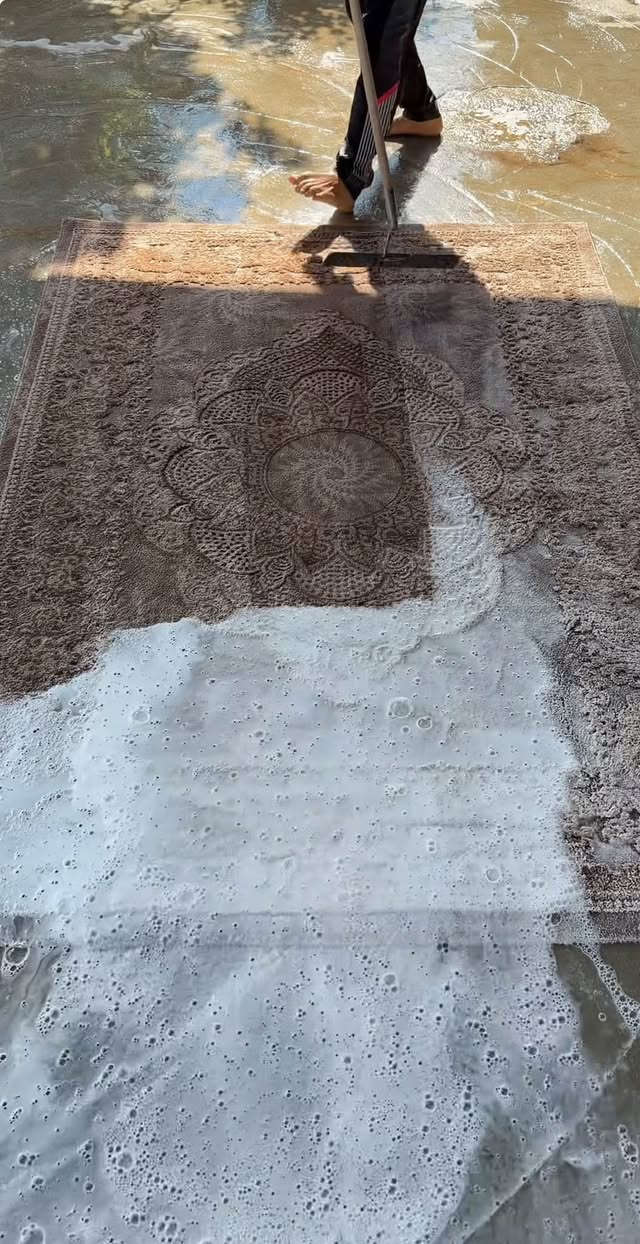🧿يوجد لدينا خدمة غسل السجاد والزوالي🧿
والطانيات 

نضافه ورائحه عطره وتعقيم 🧼🧼🧼

 للاتصال بالرقم🤳 بسم الله نبدا استلاام 

***********
