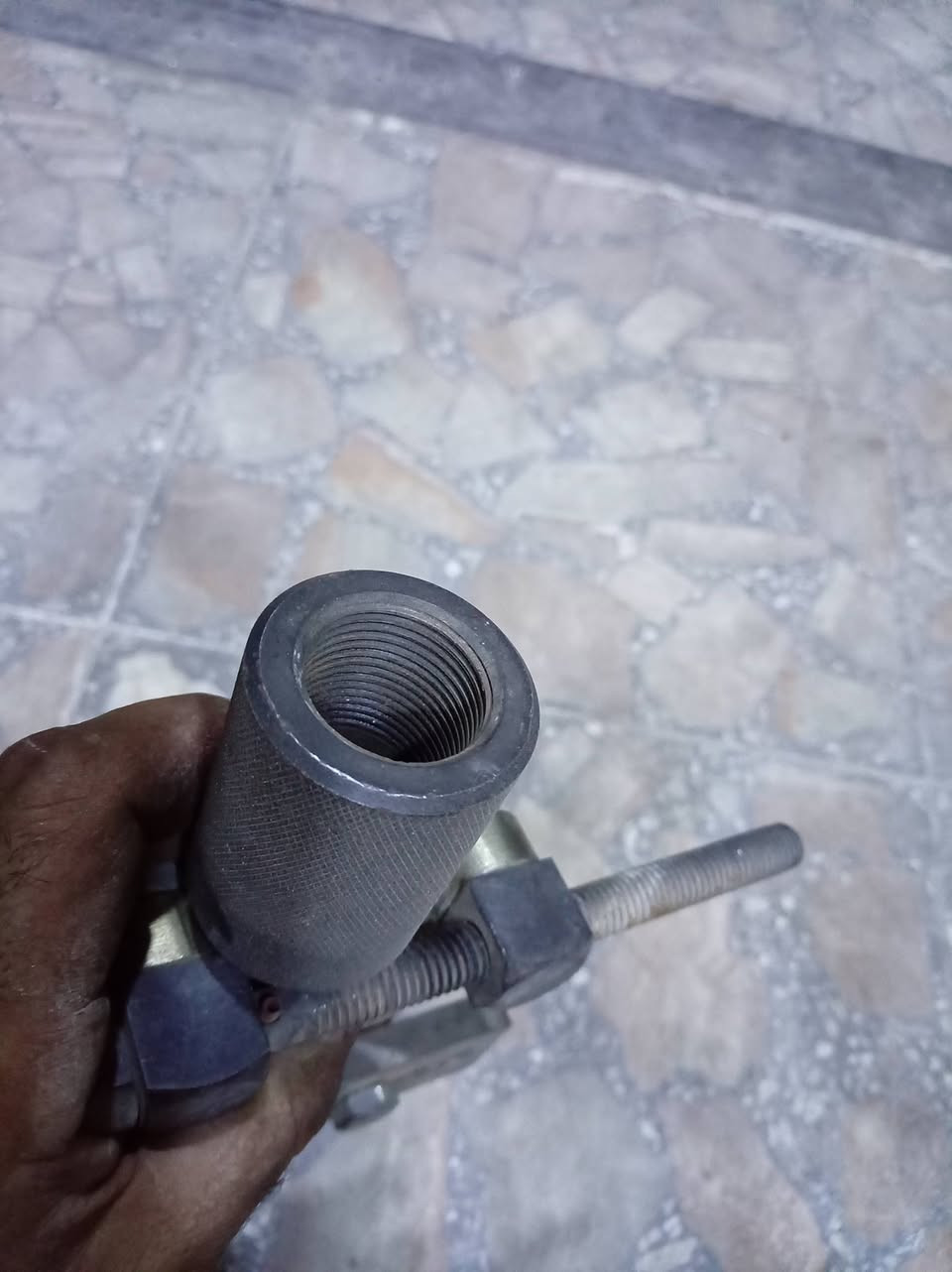 فخة بطن أمريكية    بغداد  ***********
