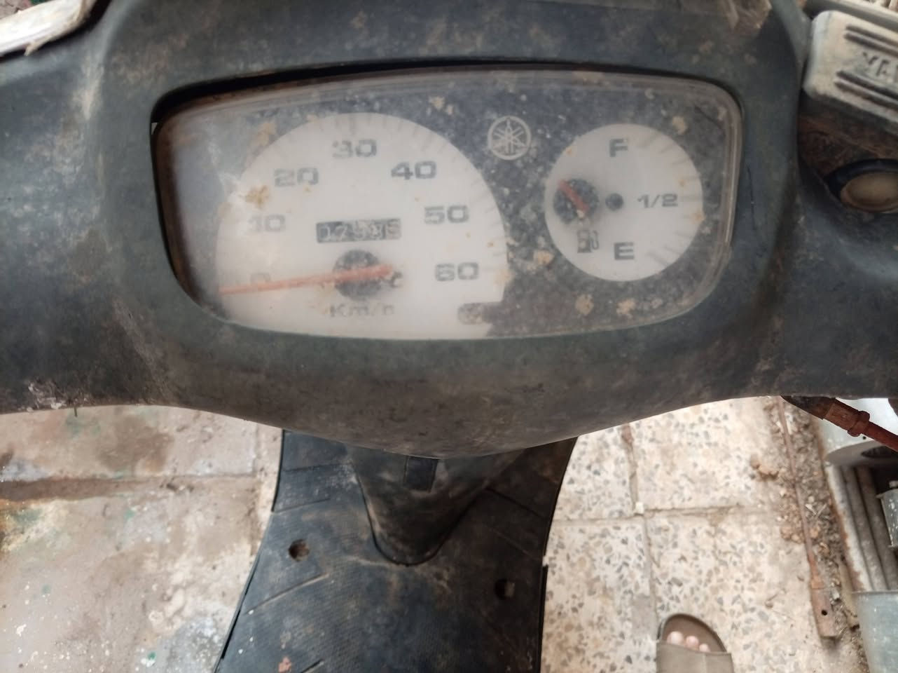 ياماها • بطّة • ٦٠