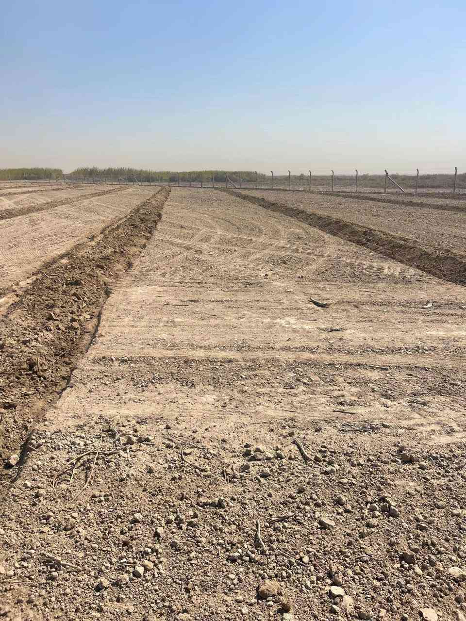 سلام عليكم البيع 11دونم سند 25 طريق المسيب الاسكندريه خلف طريق البيك ياحسين لاستفار على رقم ***********
