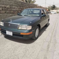 بطه • مصبوغة • جمالية