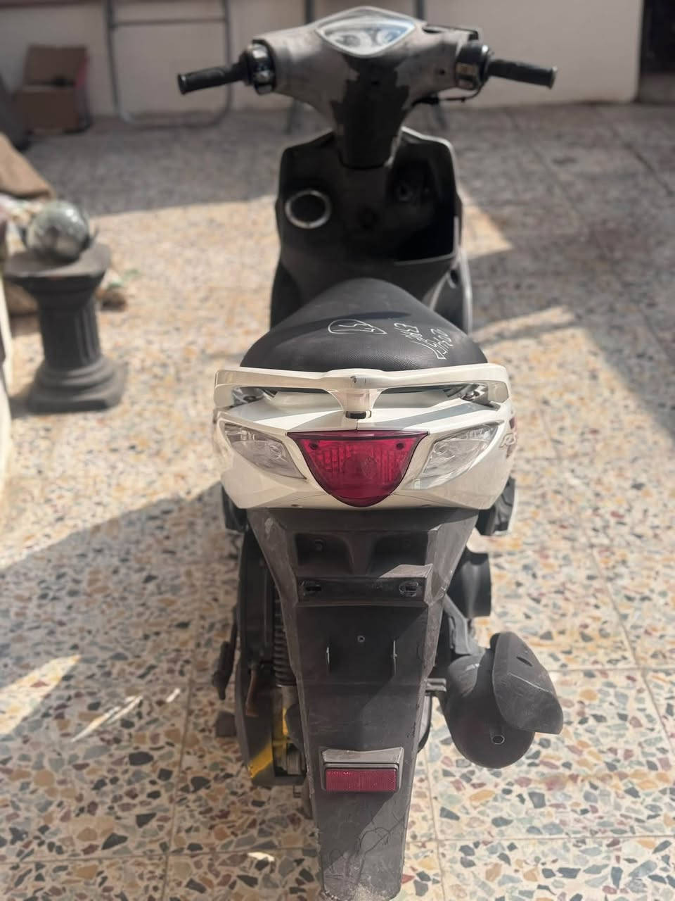ماكس مضلع • جديدة • بلادية