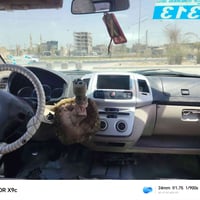 جنبي ناصي للبيع موصليه جاهزه السعر28 او بيه مجال 07800923956