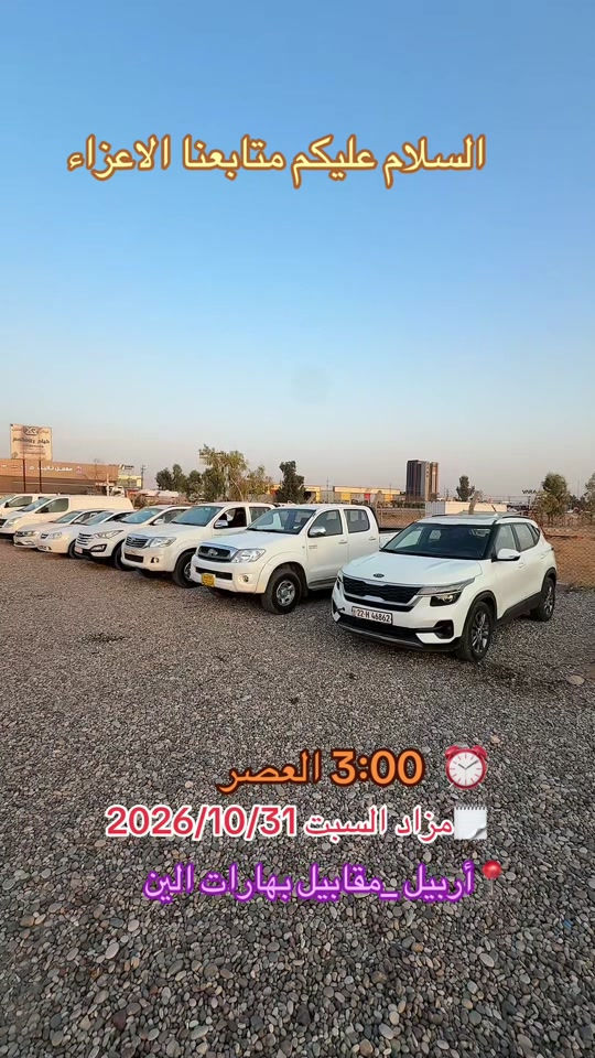 مزاد السبت • ٣١/١٠/٢٠٢٦ • أربيل مقابل بهارات الين