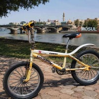 بايسكل • كوبرا • موصل
