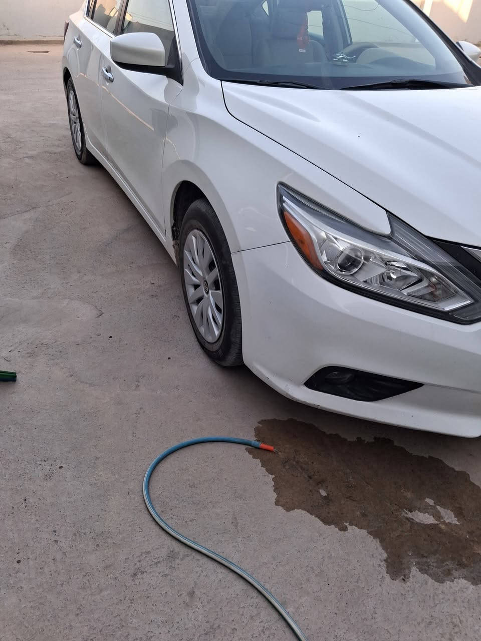 للبيع أو مراوس بكورلا نضيف..ألتيما ١٨ خليجي كامله من كل النواحي تبريد جديد صدر تخم تاير..مال بيت كلشي مناقصها..المكان شهربان ***********

