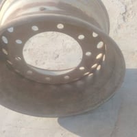 خرفش ألماني • مكفول • بصرة
