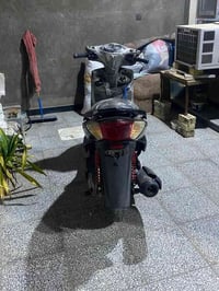 سكنس فحل • خطين • بدون سلف