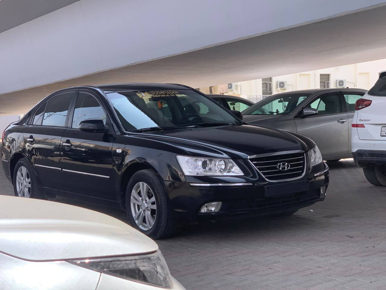 سوناته • ٢٠٠٩ • تكريت