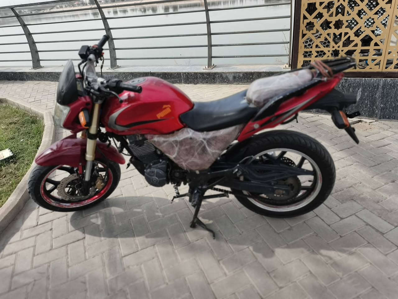 دايون بطح • ٢٠١٧ • ٢٥٠