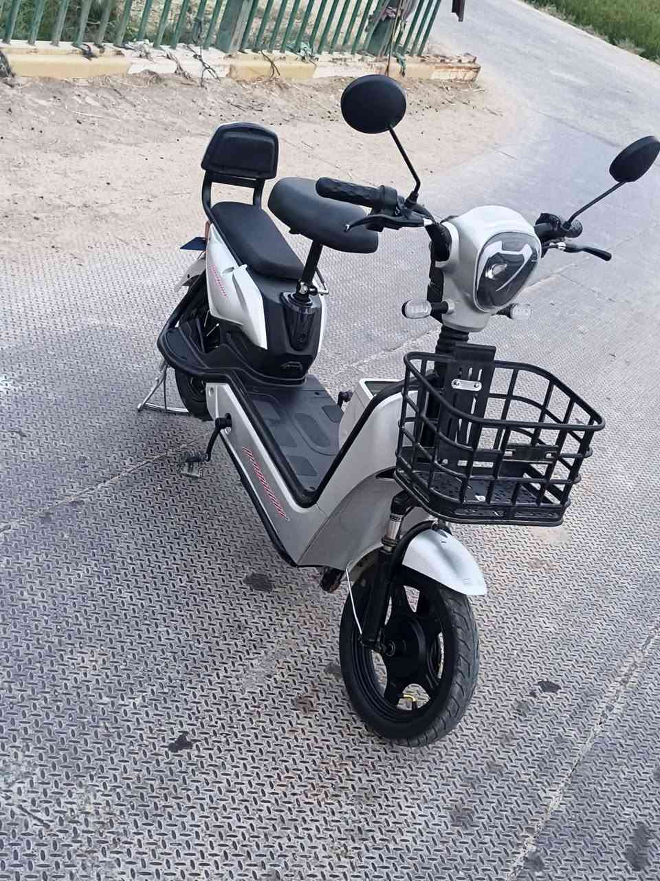 شحن • ٢٠٢٦ • بصمة